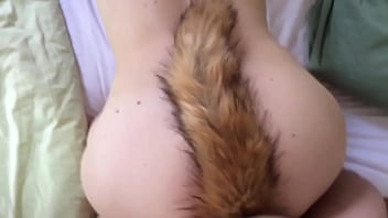 Fox plug anal tail