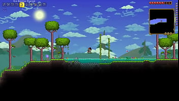 Terraria xxx